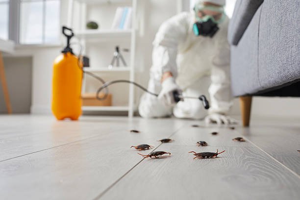 Post-Treatment Bed Bug Interceptor Monitoring in Jones