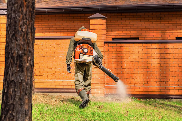 Bed Bug Clearance Verification and Documentation in Jones